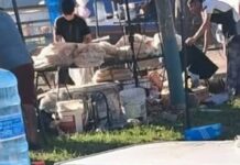 Emprendedores metanenses calificaron como fracaso la venta de sus productos en el Festimiel