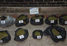 La Policía encontró 11 kilos de marihuana en el Barrio Parque La Cruz de Chicoana