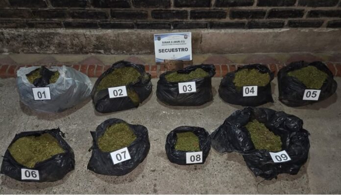 11 kilos de marihuana