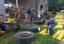 Van a juicio los 6 narcos que escondieron 425 kilos de cocaina en ruedas de un camion en Mosconi
