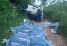 Secuestran más de 500 kilos de hojas de coca en Antillas