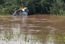 ¡Se salvaron de milagro!