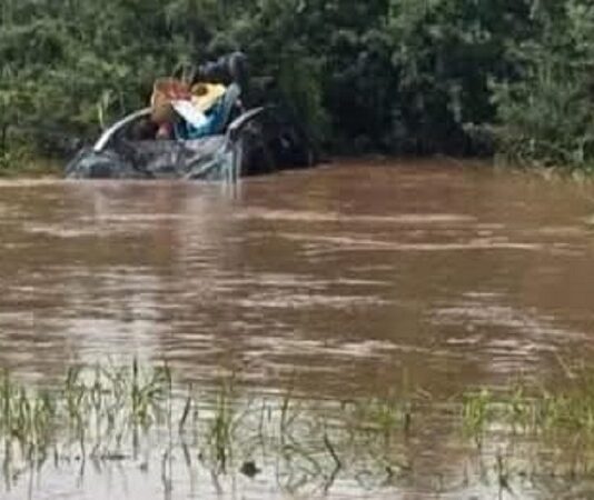 ¡Se salvaron de milagro!