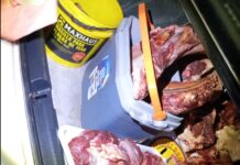 2 detenidos por robarse y faenar una vaca en Chicoana