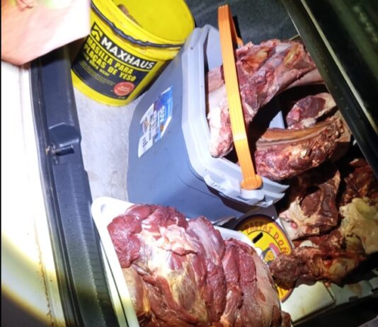 2 detenidos por robarse y faenar una vaca en Chicoana