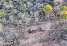 En 2025 Salta ocupó el 3° lugar entre las provincias que mas desmontaron con 15.129 hectáreas