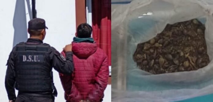 detenido en el tribuno