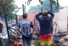 Un incendio arrasó con una humilde vivienda en Barrio 4 de Junio en Orán: murieron dos perritos