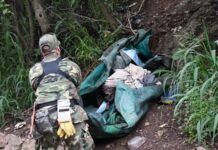 Volvieron a limpiar el cerro San Bernardo