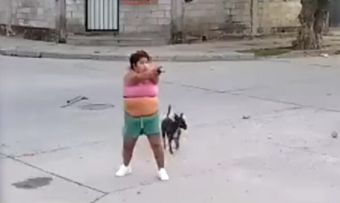 pepita la pistolera