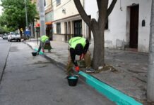 Se podrán estacionar vehículos en forma gratuita en 100 cuadras de la ciudad