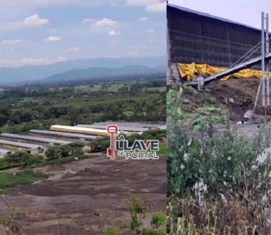Vecinos denuncian a la avícola “La montaña” en el Encón Grande por olores y contaminación