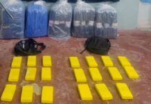 Al ser sorprendidos por gendarmes bagayeros abandonan cerca del Bermejo 20 kilos de cocaína y 100 de coca