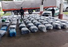 Pararon en Rosario un camión que salió de Salta con 2.000 kilos de hojas de coca ocultos bajo una carga de porotos