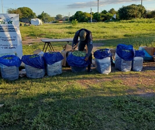 Transporte de encomiendas salió de Orán a Buenos aires con 222 kilos de coca