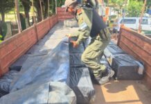Gendarmería de Jujuy paro un camión que partió de Orán con 34.000 atados de cigarrillos ilegales
