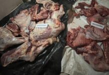 Demorados por llevar 350 kilos de carne en una moto y en un auto en Embarcación