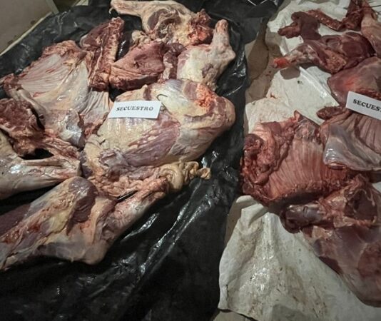 Demorados por llevar 350 kilos de carne en una moto y en un auto en Embarcación