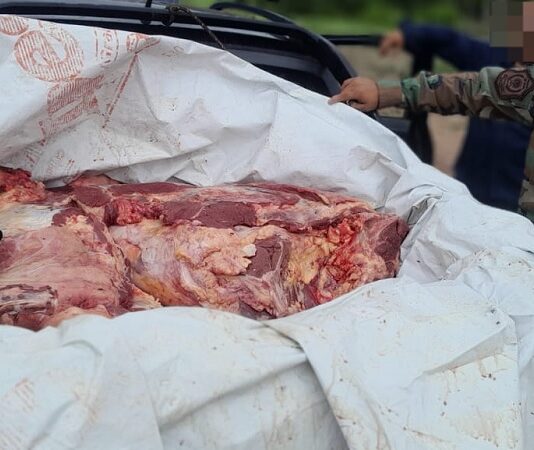 Faena clandestina: secuestran en Pichanal 450 kilos de carne desde la caja de una camioneta