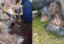 Decomisan 450 kg de carne y chorizos podridos en una carnicería de Orán