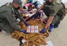 Viajaba en un tour de compras desde Orán a Mendoza con 51 kilos de marihuana oculta en alcolchados