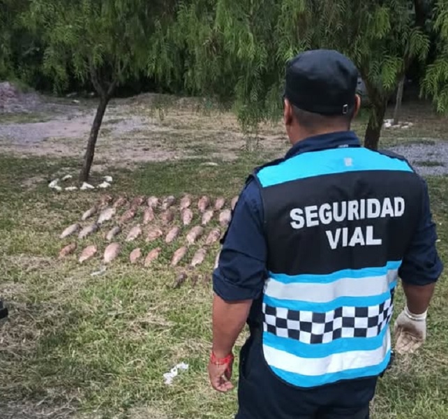 60 sabalos1