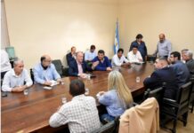 IPS confirmó en el Senado que trabaja para asegurar prestaciones y frenar cobros indebidos