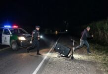 Insólito: Un sujeto huyó por los cañaverales de la ruta 50 en Orán tras ser descubierto trasladando un TV en monopatín