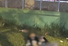 Un hombre de 30 años murió apuñalado en Rosario de la Frontera: hay 2 detenidos