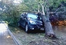 Durante la tormenta un viejo árbol cayó sobre un auto en Barrio Santa Ana