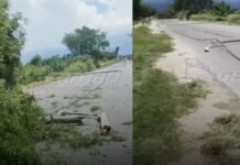 Fuertes vientos provocan la caída árboles y del tendido eléctrico en la ruta entre La Merced y San Agustín