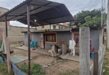 Una madre envenenó a sus 5 hijos y se quitó la vida por deudas en el alquiler de su vivienda