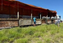 Un camión salió de Orán a Buenos Aires con 1.330 kilos de coca y lo detuvieron en Santiago del Estero