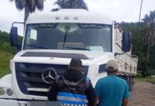 La Policía Vial secuestro un camión robado en Jujuy