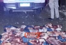 Cayó una banda de “cuatreros” en Campo Quijano