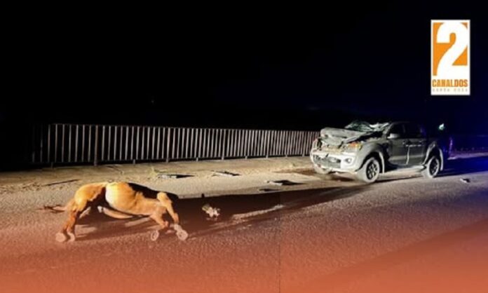 choque con un caballo