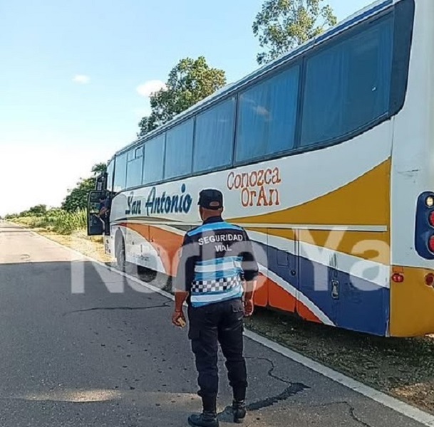 colectivo de san antonio