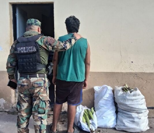 Detienen a 2 delincuentes que robaron 143 choclos en una finca de R° de Lerma