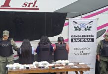 Detienen a 9 pasajeros de un “tour de compras” por trasladar, ocultar e ingerir más de 10 kilos de cocaína