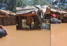 Así está la vivienda de la familia Santillán en Rivadavia