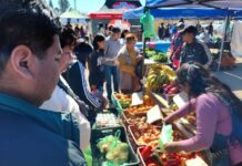 Este jueves “El mercado en tu barrio” esta en Santa Lucía