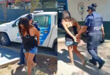 Detuvieron a la sospechosa de haber abandonado a un bebé dentro de una bolsa en Merlo