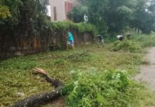 Padres de alumnos de la escuela Terrones Riera de Orán limpiaron el establecimiento