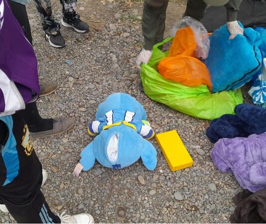 En Orán una mujer volvía de Bolivia con 1 kilo de cocaína dentro de un peluche
