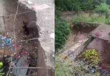 Bomberos rescataron a un perrito que cayó en un mausoleo en el cementerio de Embarcación