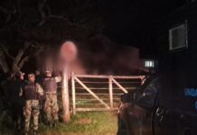 Lo enganchó la Policía en la Caldera cuando había terminado de faenar una vaca robada