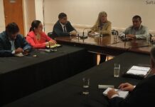 El Senado analizó la evolución del Programa Provincial de Becas