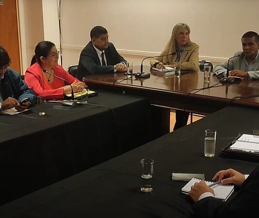 El Senado analizó la evolución del Programa Provincial de Becas