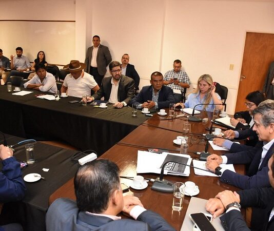 El Senado analizó la actualidad y las proyecciones del desarrollo minero en Salta