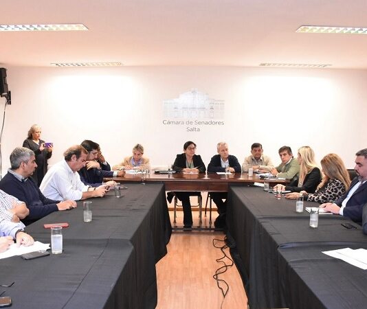 El Senado articula acciones ante el incremento de casos de adicciones y reimpulsa el proyecto de Emergencia Socio-Sanitaria